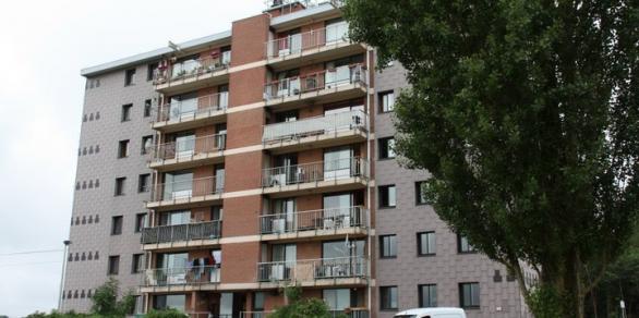 Site du Bois des Dames